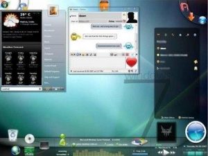 Windows Seven livré sans navigateurs
